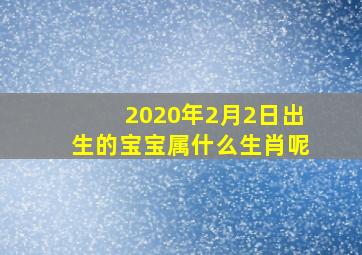 2020年2月2日出生的宝宝属什么生肖呢