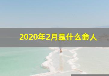 2020年2月是什么命人