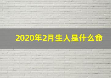 2020年2月生人是什么命