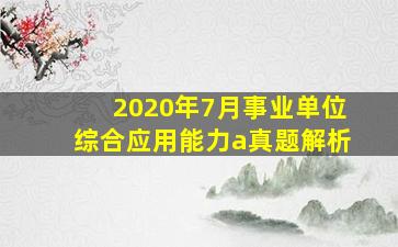 2020年7月事业单位综合应用能力a真题解析