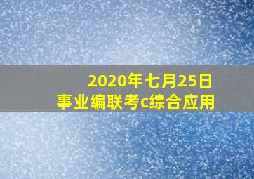 2020年七月25日事业编联考c综合应用