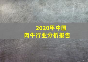 2020年中国肉牛行业分析报告