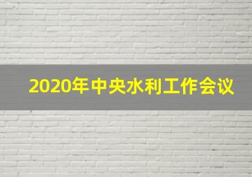 2020年中央水利工作会议