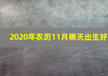 2020年农历11月哪天出生好