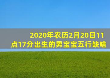 2020年农历2月20日11点17分出生的男宝宝五行缺啥