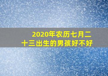 2020年农历七月二十三出生的男孩好不好