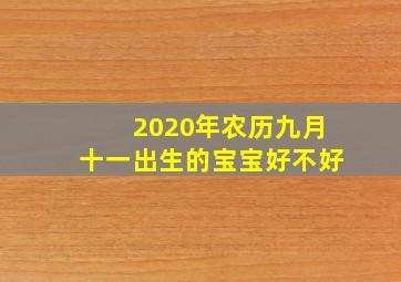 2020年农历九月十一出生的宝宝好不好