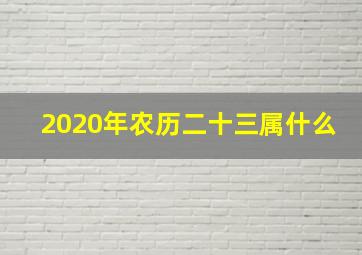 2020年农历二十三属什么