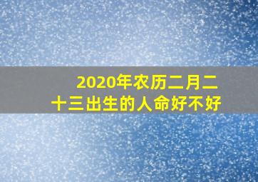 2020年农历二月二十三出生的人命好不好