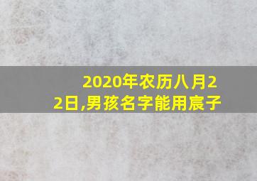 2020年农历八月22日,男孩名字能用宸子