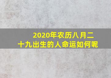 2020年农历八月二十九出生的人命运如何呢