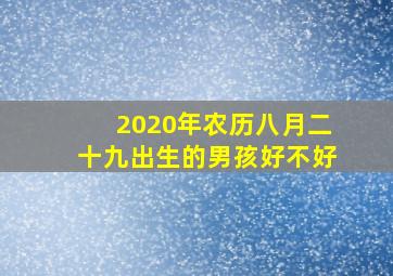 2020年农历八月二十九出生的男孩好不好