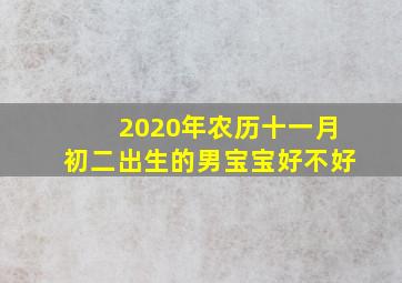 2020年农历十一月初二出生的男宝宝好不好