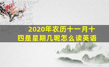 2020年农历十一月十四是星期几呢怎么读英语