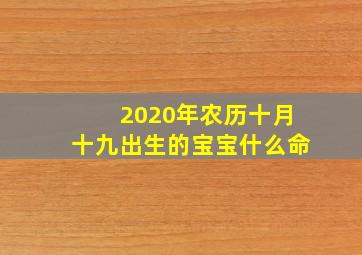 2020年农历十月十九出生的宝宝什么命