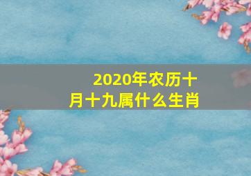 2020年农历十月十九属什么生肖