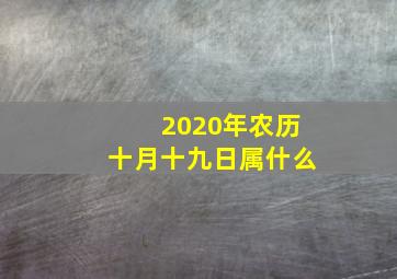 2020年农历十月十九日属什么