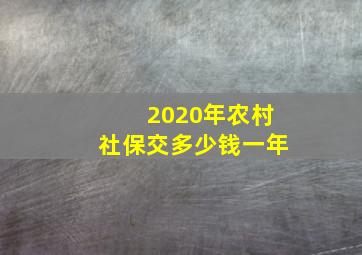 2020年农村社保交多少钱一年