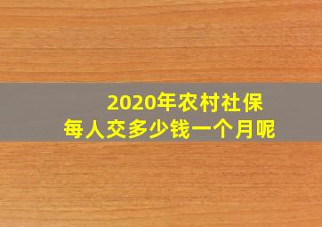 2020年农村社保每人交多少钱一个月呢