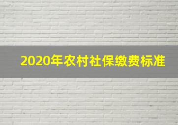 2020年农村社保缴费标准