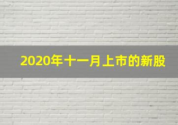 2020年十一月上市的新股