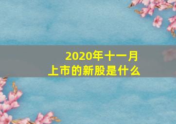 2020年十一月上市的新股是什么