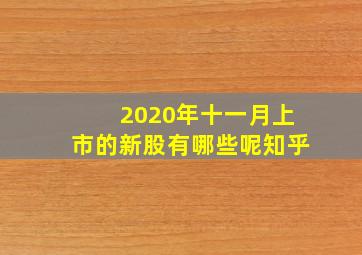 2020年十一月上市的新股有哪些呢知乎