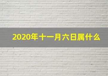 2020年十一月六日属什么