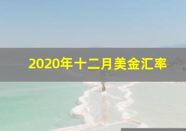 2020年十二月美金汇率