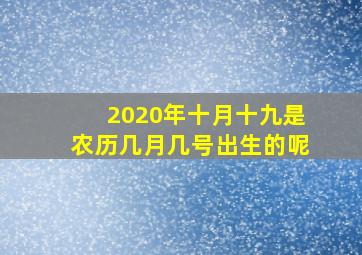 2020年十月十九是农历几月几号出生的呢