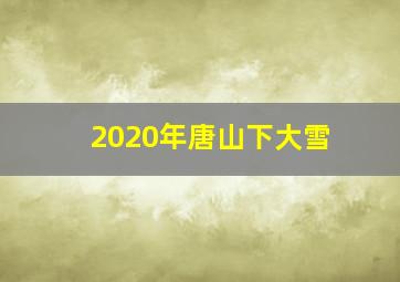 2020年唐山下大雪