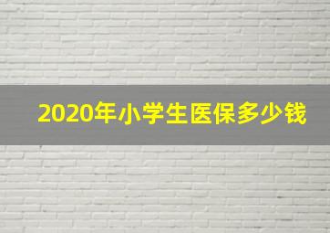 2020年小学生医保多少钱