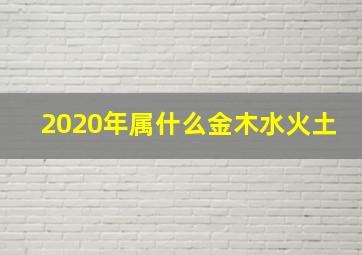 2020年属什么金木水火土