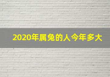 2020年属兔的人今年多大