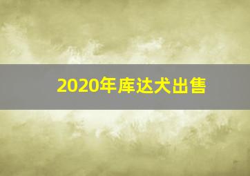 2020年库达犬出售