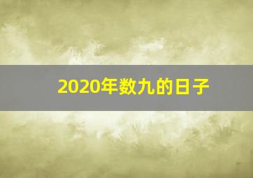 2020年数九的日子