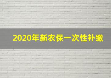 2020年新农保一次性补缴