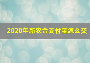 2020年新农合支付宝怎么交