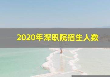 2020年深职院招生人数