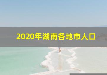 2020年湖南各地市人口