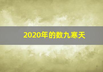 2020年的数九寒天