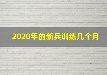 2020年的新兵训练几个月