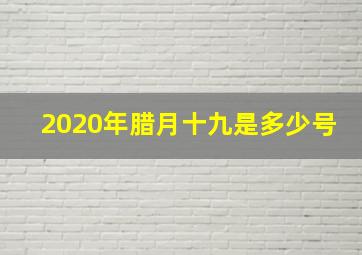 2020年腊月十九是多少号