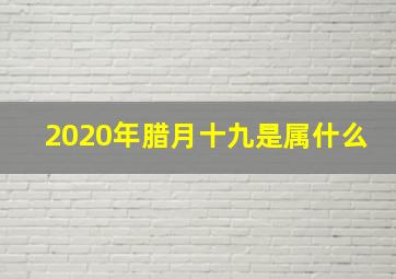 2020年腊月十九是属什么