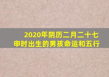 2020年阴历二月二十七申时出生的男孩命运和五行