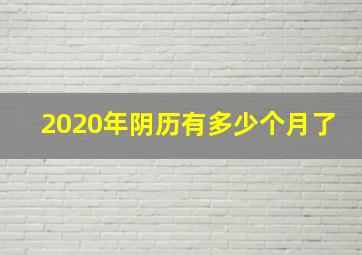 2020年阴历有多少个月了