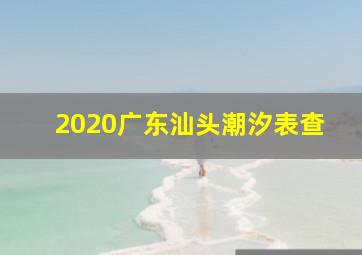 2020广东汕头潮汐表查