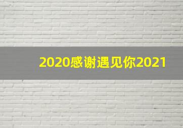 2020感谢遇见你2021