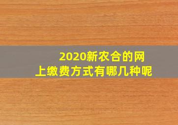 2020新农合的网上缴费方式有哪几种呢