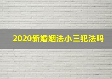 2020新婚姻法小三犯法吗